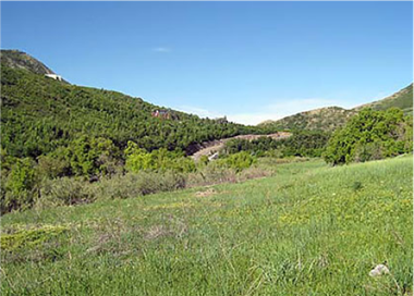 A grassy area with trees and hills in the background.