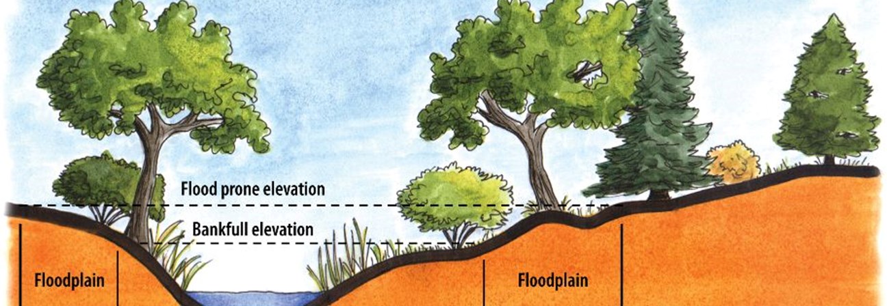 Floodplain Riparian zone Flood prone elevation Bankfull elevation Aquatic zone Floodplain Riparian zone Uplands
