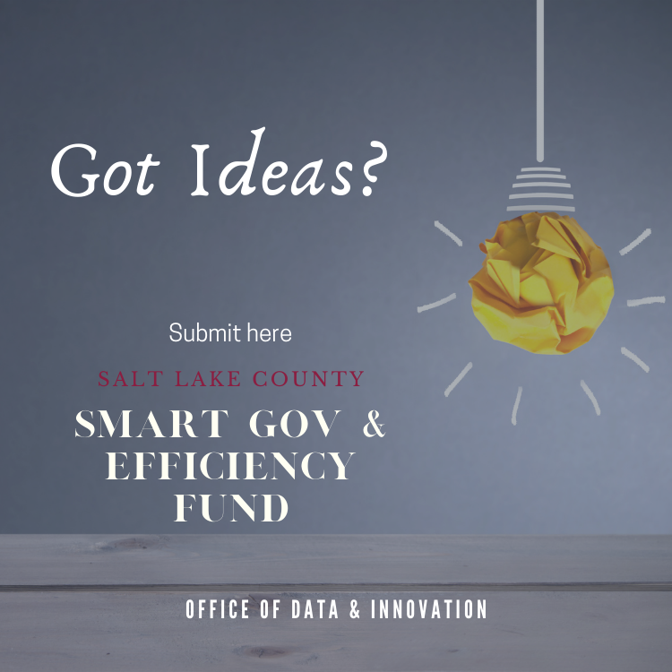 Do you have ideas on how to improve operations and better deliver County services? Need a little funding to kick off the project and demonstrate return on investment (ROI)?  Submit your ideas here