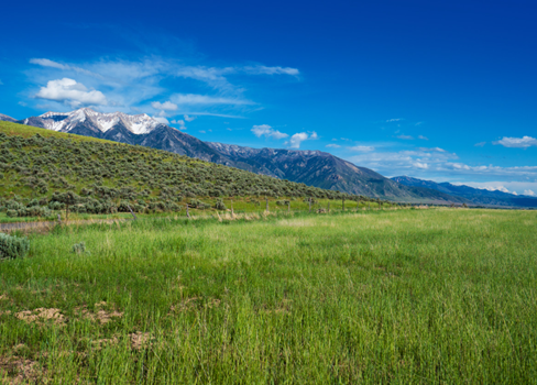 A grassy field with mountains in the background.