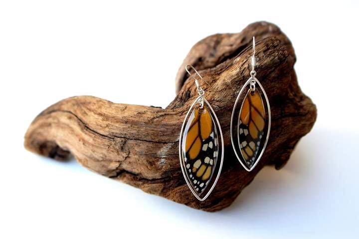 Monarch Butterfly Wing Sterling Silver Earrings.jpg