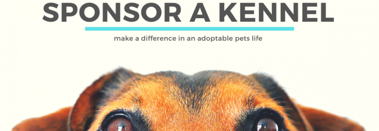 SPONSOR A KENNEL make a difference in an adoptable pets life
