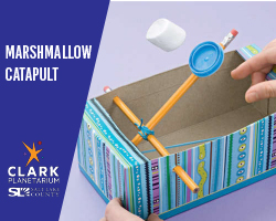 Marshmallow Catapult