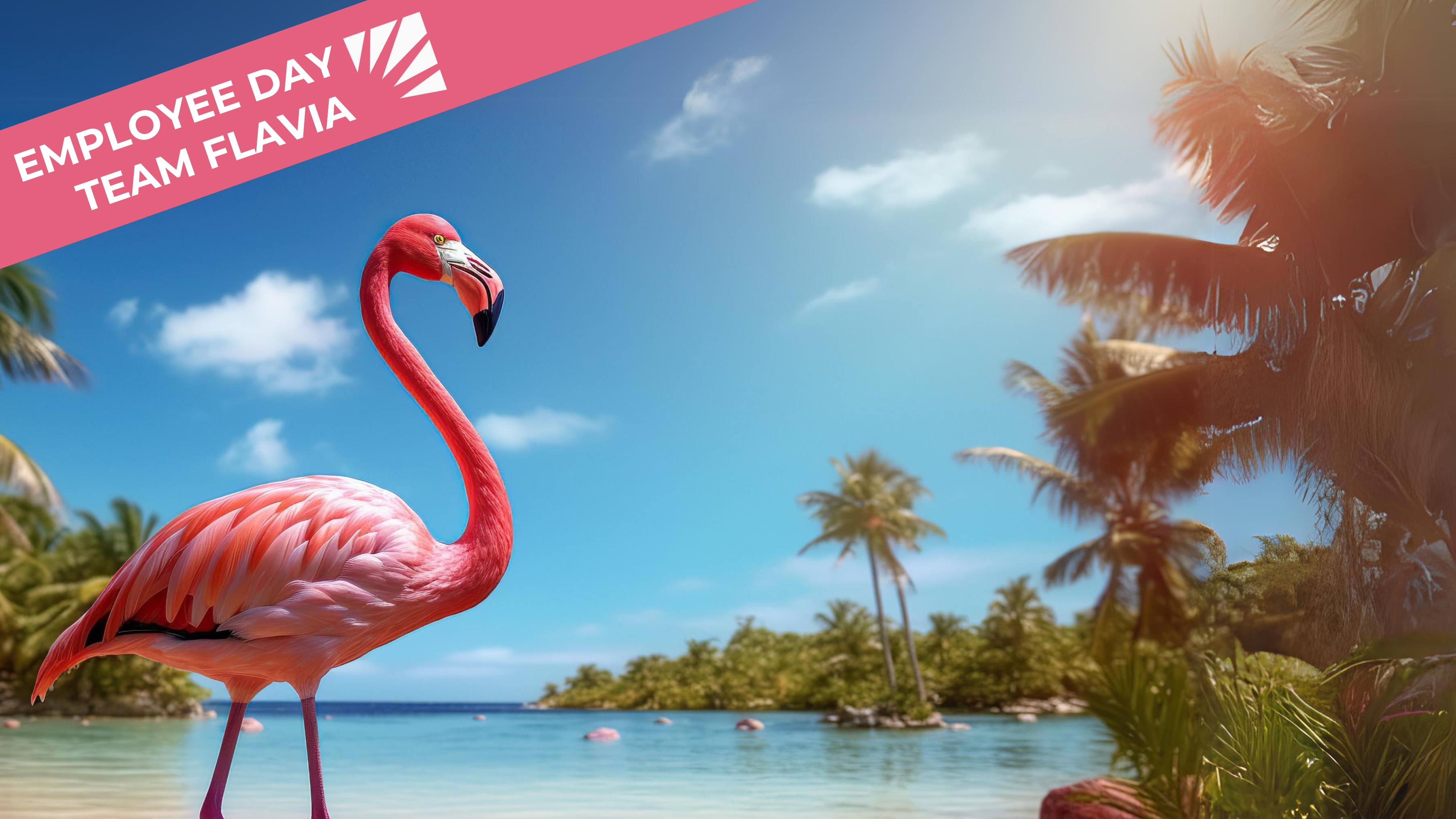 A flamingo standing on a beach.