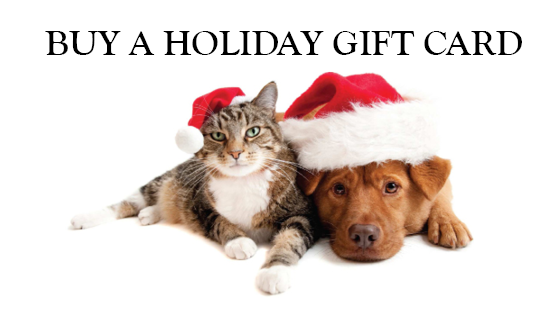 Holiday Gift Card Blog