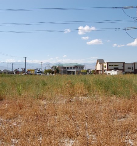 A field of grass and buildings.