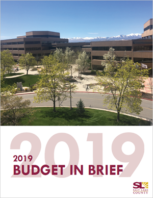 2019 Budget-In-Brief