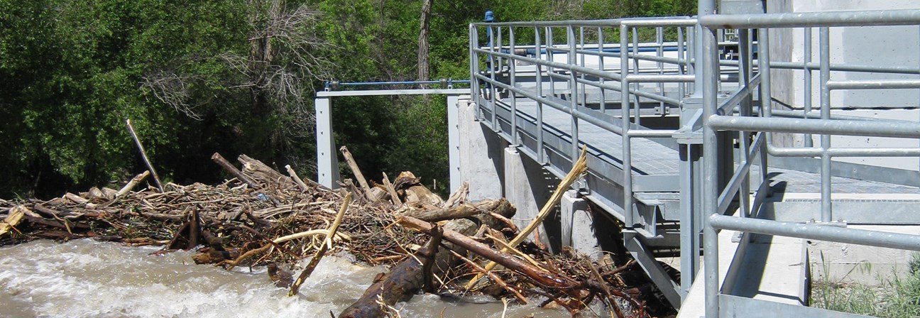 A river with wood debris by a bridge.