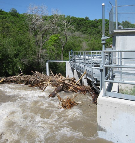 A river with wood debris by a bridge.