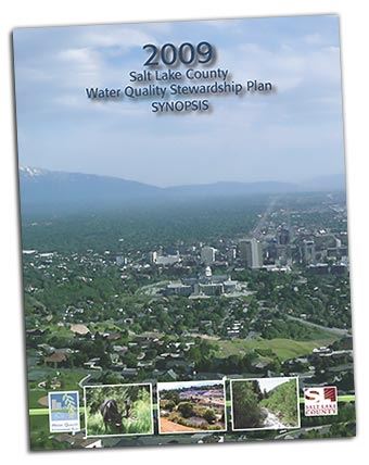 2009 Plan cover