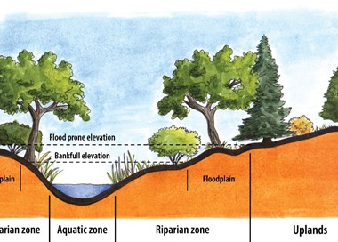 Floodplain Riparian zone Flood prone elevation Bankfull elevation Aquatic zone Floodplain Riparian zone Uplands