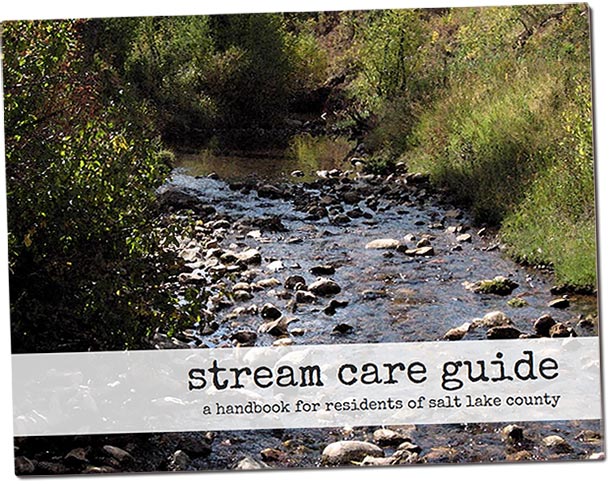 stream care guide cover