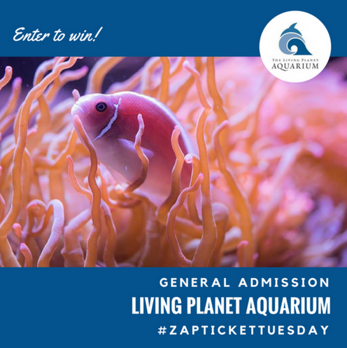Ticket Tuesday- Living Planet Aquarium