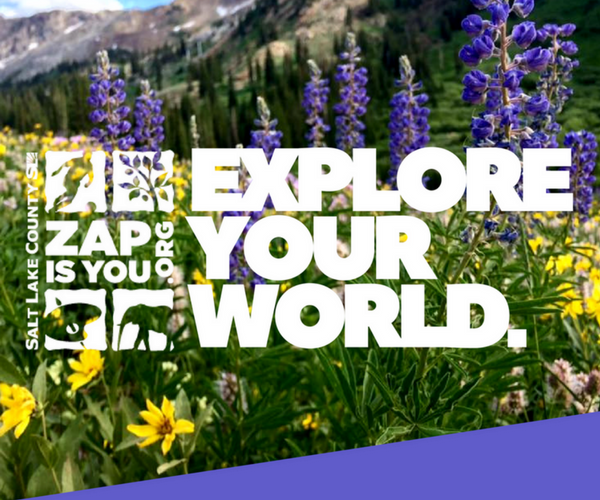 Explore Your World- Week 9