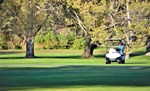 A golf cart on a golf course.
