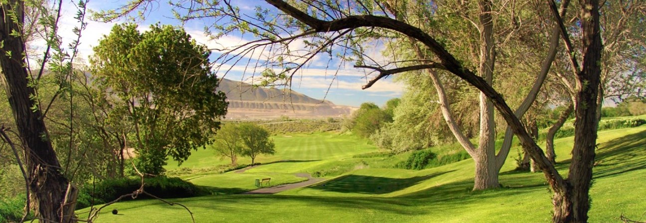 A golf course with trees.