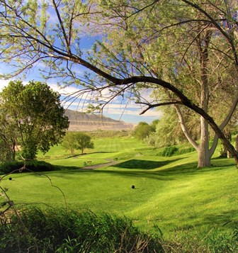 A golf course with green trees.