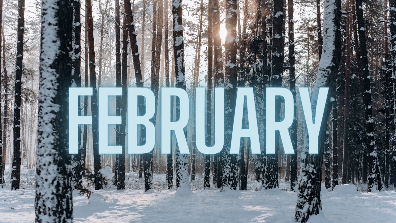 February: Winter Edition