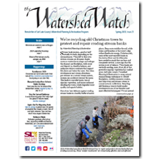 Watershed Watch Newsletter