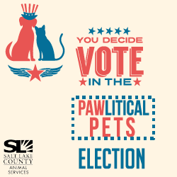 PAWlitical Pet Election